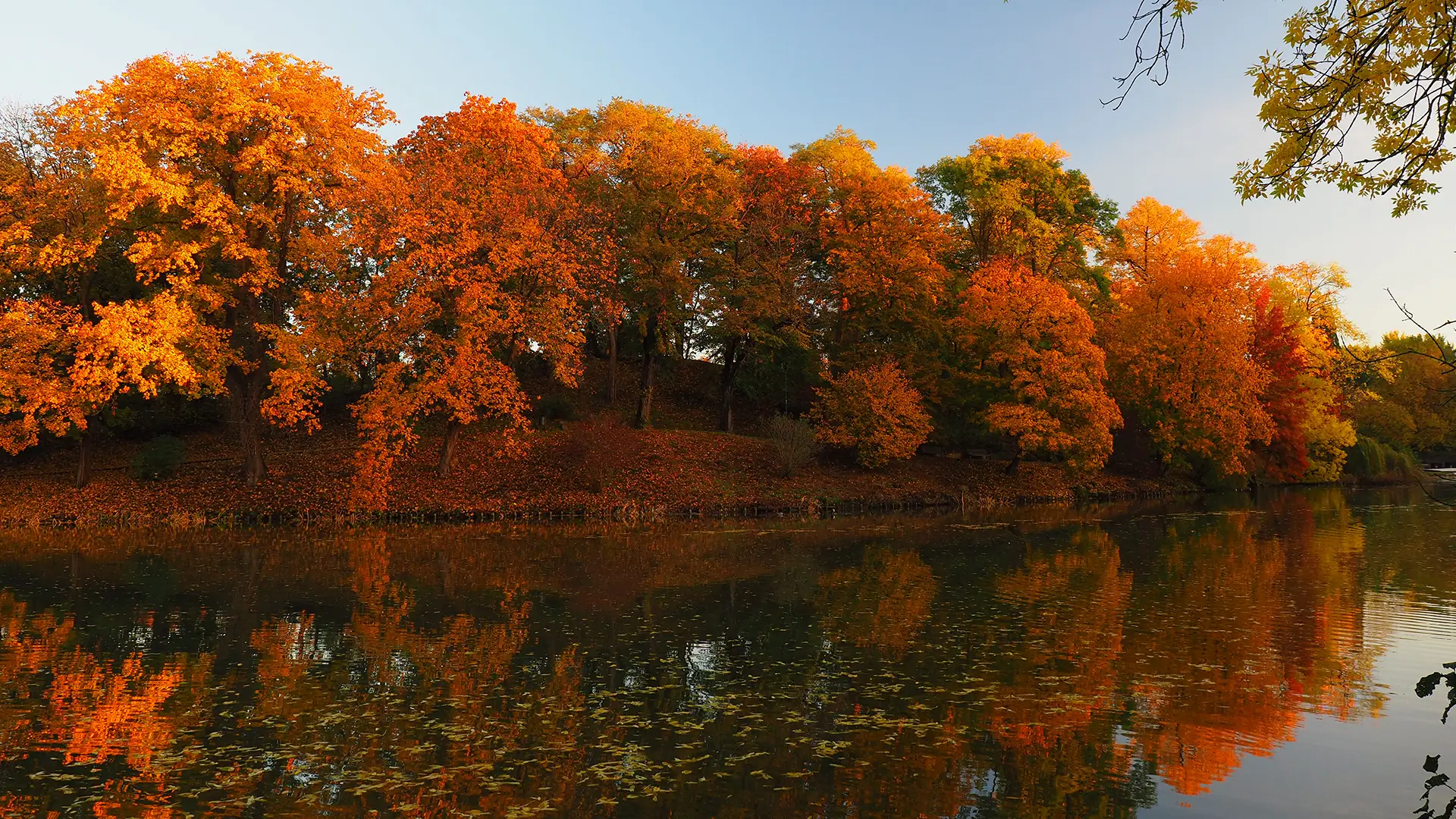 Kendall-Source-00-76