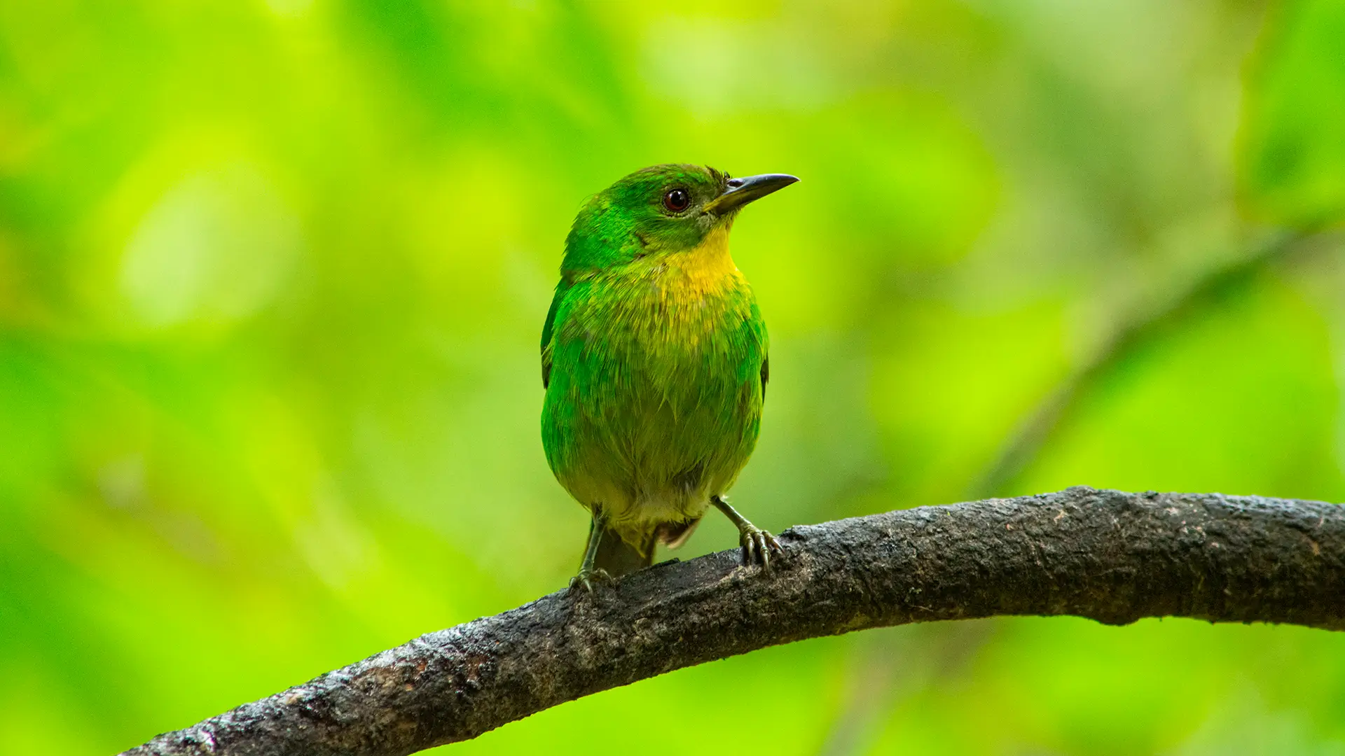 Kendall-Source-00-77