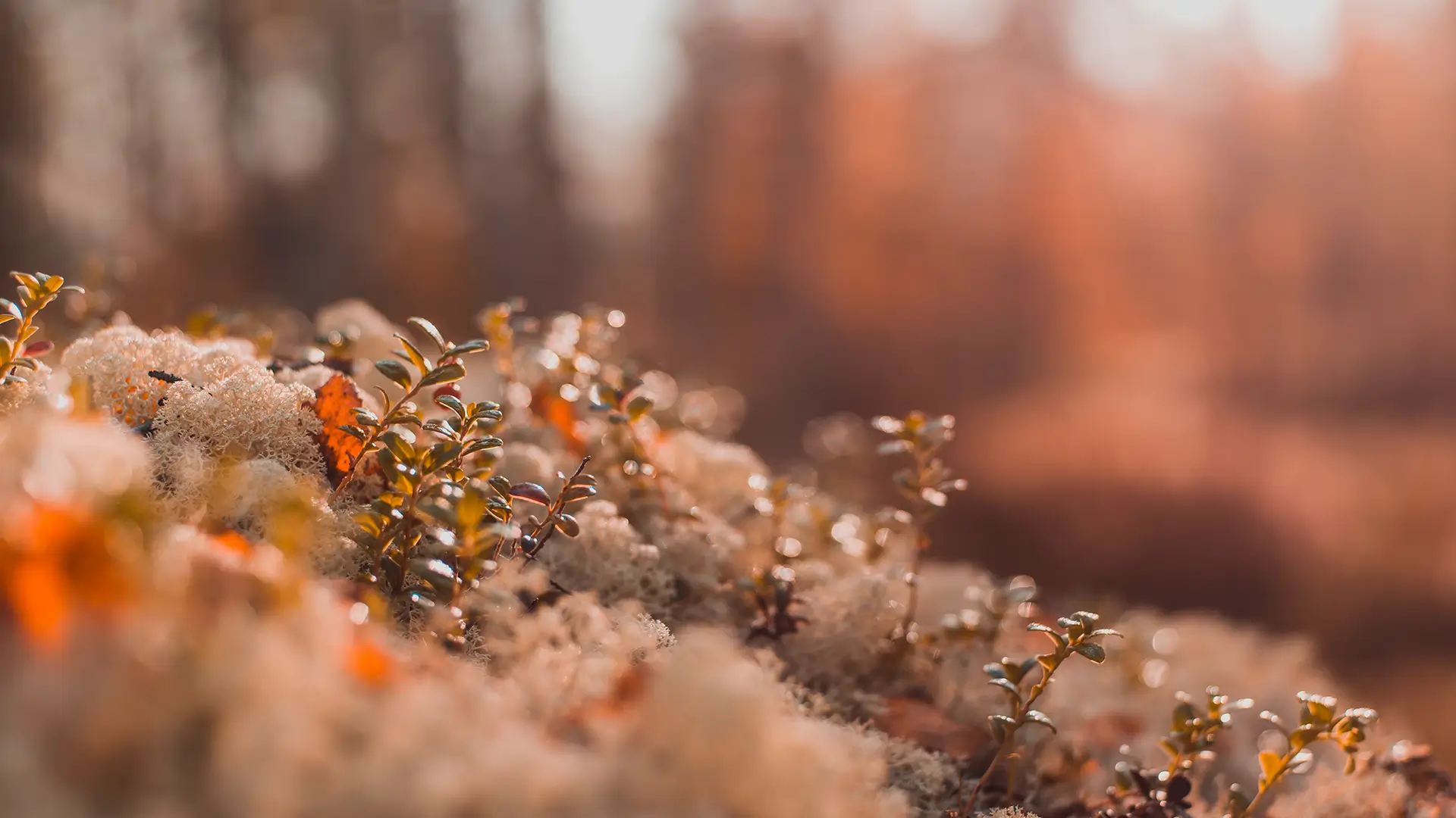 Kendall-Source-00-78